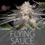 Exclusive Seeds Flying Sauce