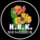 H.B.K. Genetics Orange Diesel