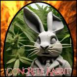 Fire Garden Pharms Genetics Concrete Rabbit