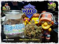 Pic for Dr. Who (Homegrown Natural Wonders)